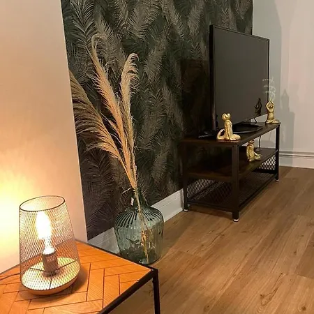 Le Jungle Chic Tres Belles Prestations & Unique, Hypercentre. Apartmán Tarbes